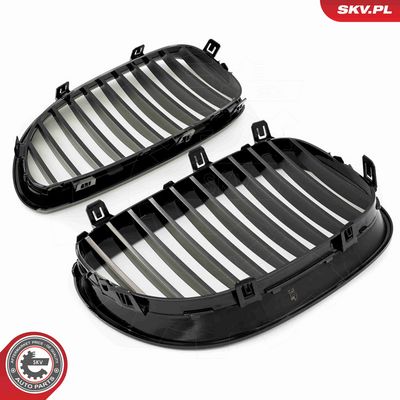 GRILA RADIATOR ESEN SKV 66SKV165 4