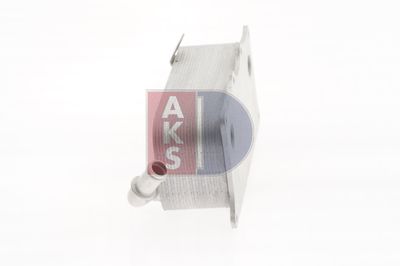 RADIATOR ULEI ULEI MOTOR AKS DASIS 176009N 2