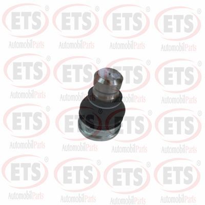 Шарнири ETS 61.BJ.701