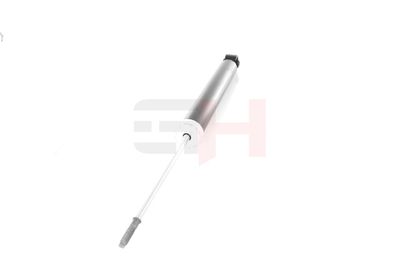 AMORTIZOR GH GH333673 15