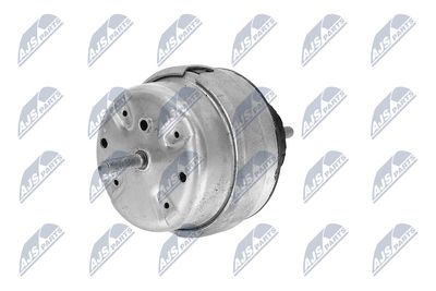 SUPORT MOTOR NTY ZPSAU008 21