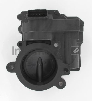 Throttle Body Intermotor 68396