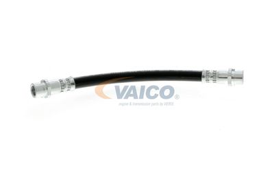 FURTUN FRANA VAICO V104136 58