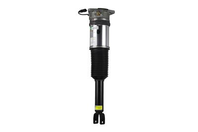 LUFTFEDERBEIN Arnott AS2958 25