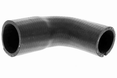 FURTUN EAR SUPRAALIMENTARE