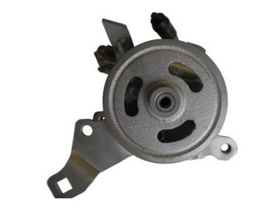 HYDRAULIKPUMPE LENKUNG SPIDAN 53572