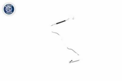 CONDUCTE FRANA VAICO V101906 12