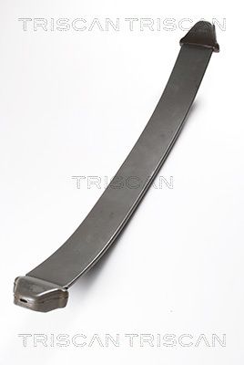 TRISCAN Federnpaket