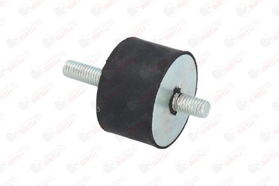 SUPORT MOTOR BIRTH 5275 2