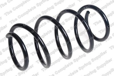 ROC CS8843 Пружина подвески  для NISSAN (Ниссан)