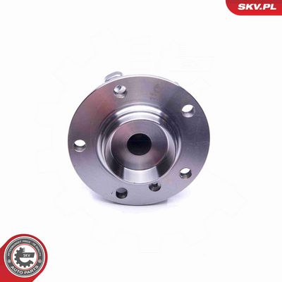 SET RULMENT ROATA ESEN SKV 29SKV234 3