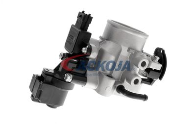 CARCASA CLAPETA ACKOJA A52810005 59