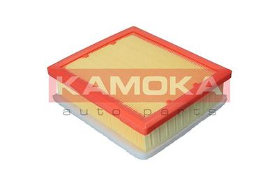 Air Filter F238001