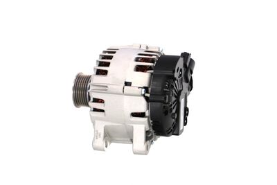 GENERATOR / ALTERNATOR REMANTE 011003000825R 19