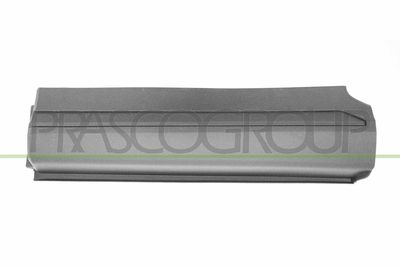 ELEMENTE DECORATIVE/PROTECTIE PORTIERA