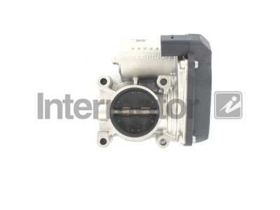 Throttle Body Intermotor 68246