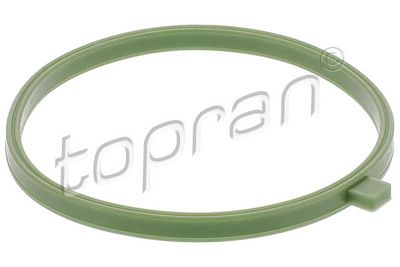 Tarpiklis, įsiurbimo kolektoriaus korpusas
