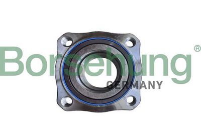 SET RULMENT ROATA Borsehung B11712