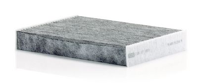 Filter, Innenraumluft