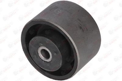 SUPORT MOTOR BIRTH 5610 8