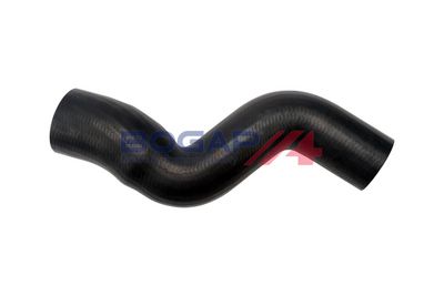 FURTUN EAR SUPRAALIMENTARE BOGAP F1711102 1