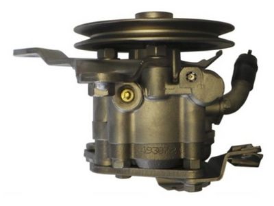 HYDRAULIKPUMPE LENKUNG SPIDAN 53572 2