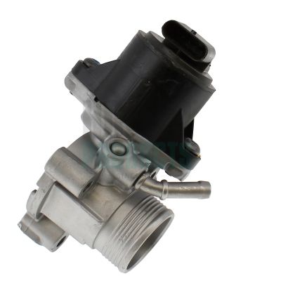 SUPAPA EGR HOFFER 7518990R