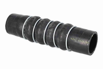FURTUN EAR SUPRAALIMENTARE ACKOJA A269676 2