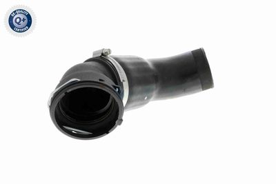 FURTUN EAR SUPRAALIMENTARE VAICO V202969 8