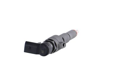 INJECTOR REMANTE 002003001356R 31