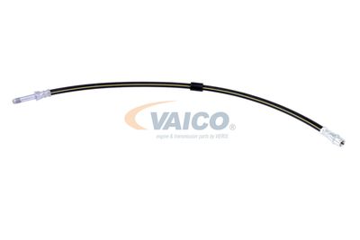 FURTUN FRANA VAICO V300547 13