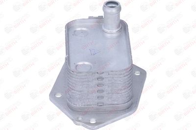 RADIATOR ULEI ULEI MOTOR BIRTH 80355 5