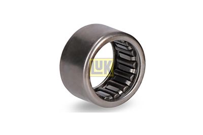 Schaeffler LuK Führungslager, Kupplung