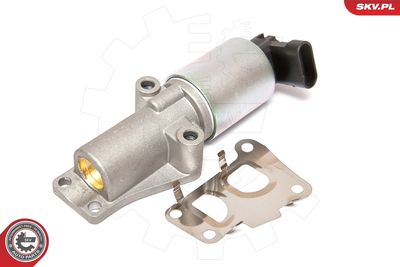 EGR Valve 14SKV065