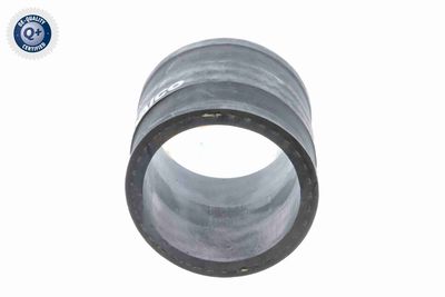 FURTUN EAR SUPRAALIMENTARE VAICO V401366 3