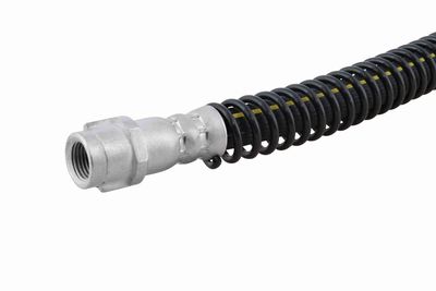 FURTUN FRANA VAICO V101135 3