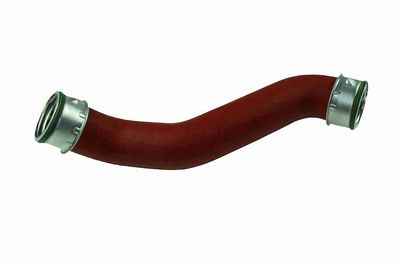 FURTUN EAR SUPRAALIMENTARE