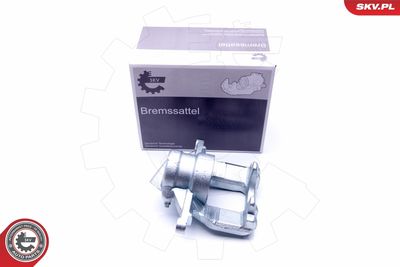 Brake Caliper 44SKV103