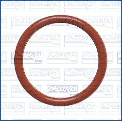 GARNITURA CONDUCTA LICHID DE RACIRE