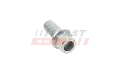 SURUB ROATA FAST FT10671 1