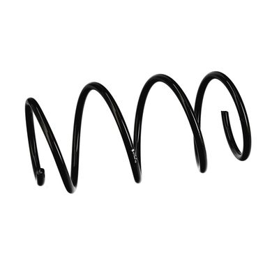 ARC SPIRAL EIBACH R11044 6