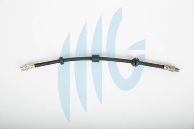 RICAMBIFLEX GM 02140424 Тормозной шланг для FORD FOCUS II (DA_, HCP, DP) 1.6 LPG