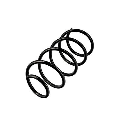 ARC SPIRAL EIBACH R10630 3