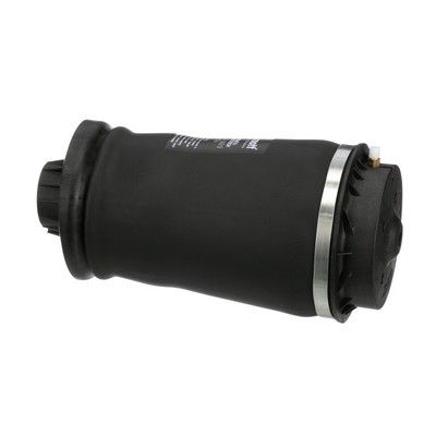 ARC PNEUMATIC DIRECTIE Arnott A2596 30