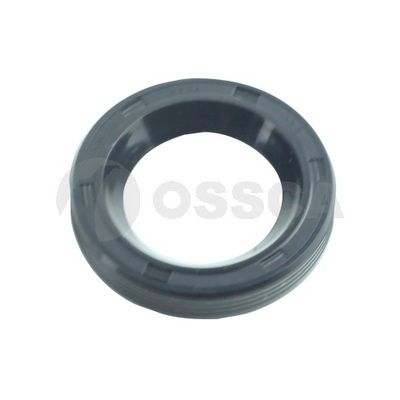 гарнитура, капак на цилиндрова глава OSSCA 69701