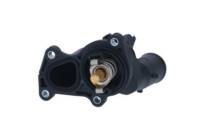 TERMOSTAT LICHID RACIRE NRF 725048 20