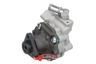 Pump, styrservo LAUBER 55.9964