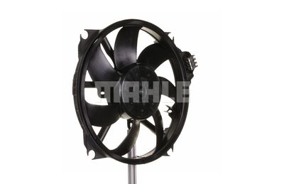 VENTILATOR RADIATOR MAHLE CFF371000P 33