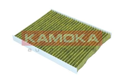 Filter, cabin air 6080136