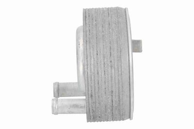RADIATOR ULEI ULEI MOTOR ACKOJA A38600006 5